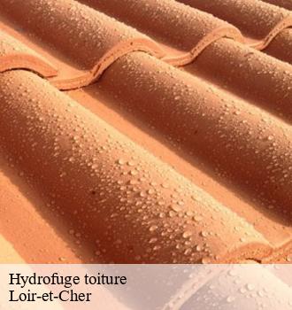Hydrofuge de toiture, une solution intéressante pour la protection de votre toiture