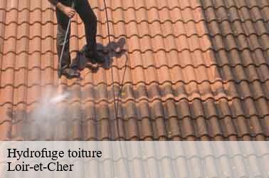 Hydrofuge toiture 41 Loir-et-Cher Louis couverture