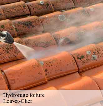 Hydrofuge toiture 41 Loir-et-Cher Louis couverture