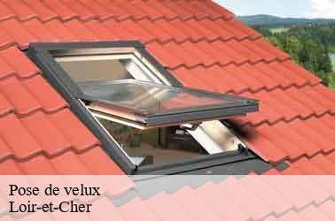 Pose de velux 41 Loir-et-Cher  Louis couverture