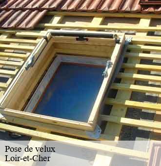 Pose de velux 41 Loir-et-Cher  Louis couverture