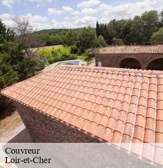 Couvreur 41 Loir-et-Cher  Louis couverture