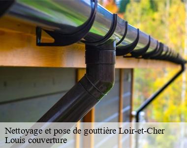 Nettoyage et pose de gouttière 41 Loir-et-Cher  Louis couverture