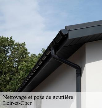 Nettoyage et pose de gouttière 41 Loir-et-Cher  Louis couverture