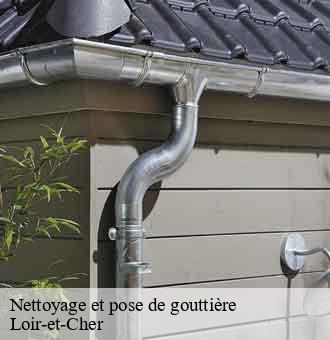 Nettoyage et pose de gouttière 41 Loir-et-Cher  Louis couverture