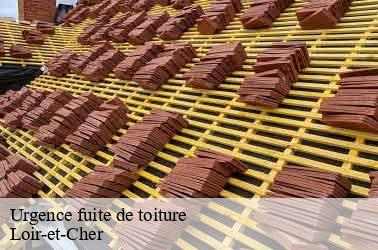 Urgence fuite de toiture 41 Loir-et-Cher  Louis couverture