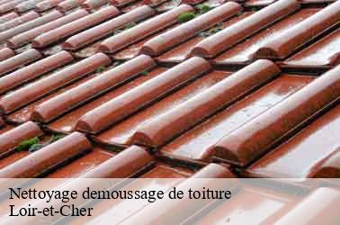 Nettoyage demoussage de toiture 41 Loir-et-Cher  Louis couverture