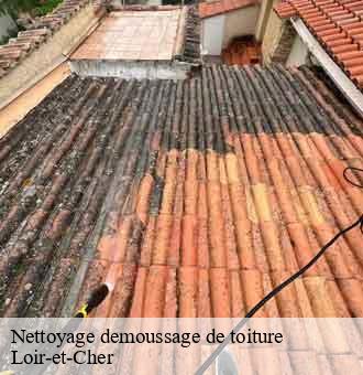 Nettoyage demoussage de toiture 41 Loir-et-Cher  Louis couverture