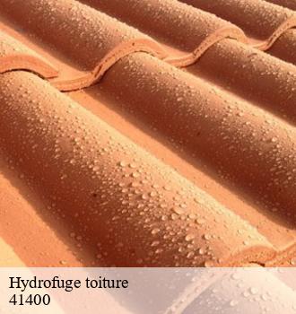 ZR Couverture  affiche les prix de traitement hydrofuge de toiture les plus bas à Ange, dans le 41400 