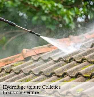 Hydrofuge toiture  cellettes-41120 Louis couverture