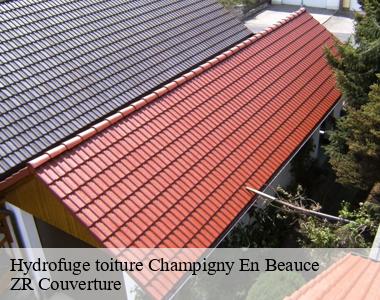 Société d’hydrofuge de toit située à Champigny En Beauce