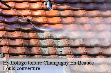 Hydrofuge toiture champigny-en-beauce-41330 Louis couverture