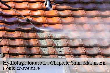 Hydrofuge toiture  la-chapelle-saint-martin-en-41500 Louis couverture