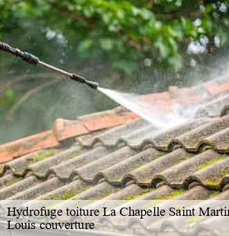 Hydrofuge toiture  la-chapelle-saint-martin-en-41500 Louis couverture