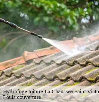 Hydrofuge toiture  la-chaussee-saint-victor-41260 Louis couverture