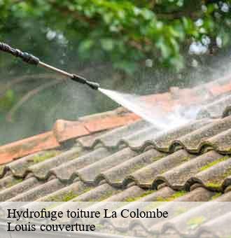 Hydrofuge toiture  la-colombe-41160 Louis couverture