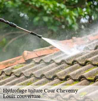 Hydrofuge toiture  cour-cheverny-41700 Louis couverture