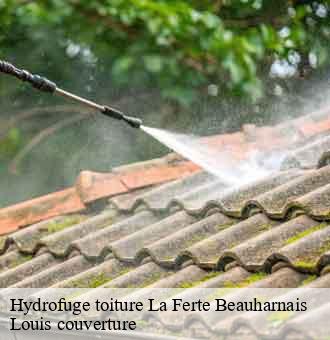 Hydrofuge toiture  la-ferte-beauharnais-41210 Louis couverture