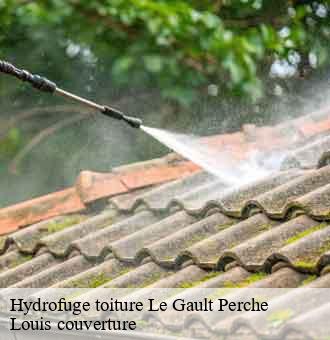 Hydrofuge toiture  le-gault-perche-41270 Louis couverture