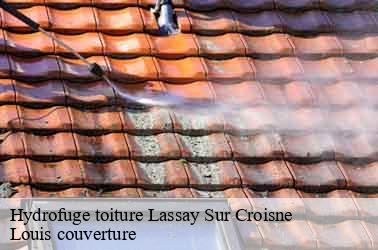 Hydrofuge toiture  lassay-sur-croisne-41230 Louis couverture