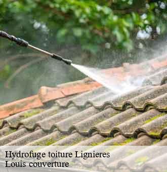 Hydrofuge toiture lignieres-41160 Louis couverture