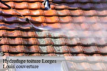 Hydrofuge toiture lorges-41370 Louis couverture