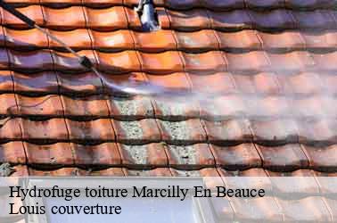 Hydrofuge toiture  marcilly-en-beauce-41100 Louis couverture