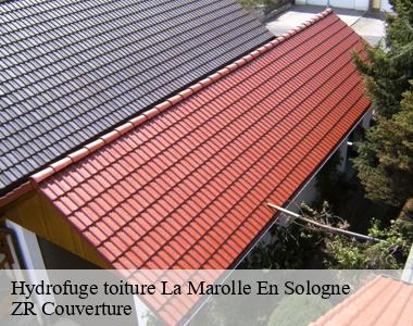 Société d’hydrofuge de toit située à La Marolle En Sologne