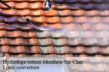 Hydrofuge toiture  monthou-sur-cher-41400 Louis couverture