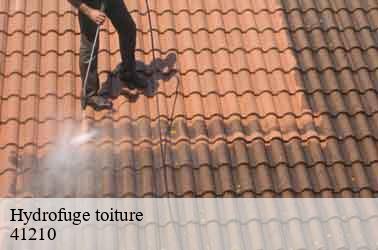 Hydrofuge toiture neung-sur-beuvron-41210 Louis couverture
