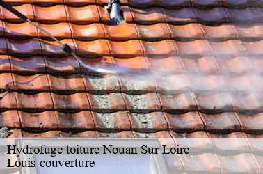 Hydrofuge toiture nouan-sur-loire-41220 Louis couverture