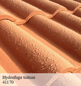 Hydrofuge de toiture et tuile