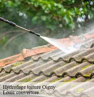 Hydrofuge toiture  oigny-41170 Louis couverture