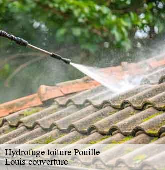Hydrofuge toiture  pouille-41110 Louis couverture