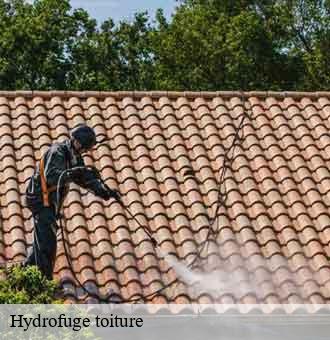 Hydrofuge toiture  pray-41190 Louis couverture