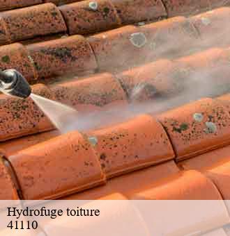 Hydrofuge toiture  saint-aignan-41110 Louis couverture