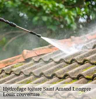 Hydrofuge toiture  saint-amand-longpre-41310 Louis couverture