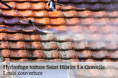 Hydrofuge toiture saint-hilaire-la-gravelle-41160 Louis couverture