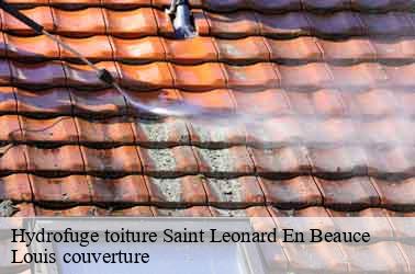 Hydrofuge toiture saint-leonard-en-beauce-41370 Louis couverture