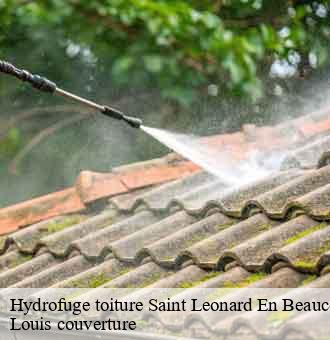 Hydrofuge toiture saint-leonard-en-beauce-41370 Louis couverture