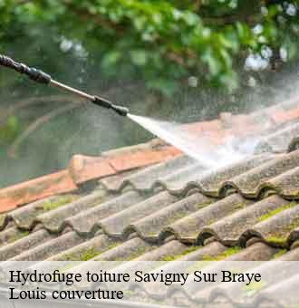 Hydrofuge toiture  savigny-sur-braye-41360 Louis couverture