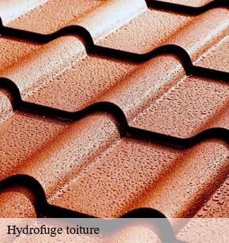 Artisan Mecquesse offre le meilleur rapport qualité-prix en hydrofuge de toiture