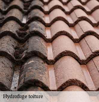 Hydrofuge toiture  seris-41500 Louis couverture