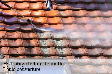 Hydrofuge toiture  tourailles-41190 Louis couverture
