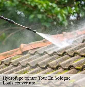 Hydrofuge toiture  tour-en-sologne-41250 Louis couverture