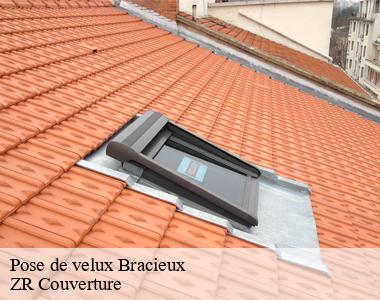 Entreprise de pose de velux située à Bracieux