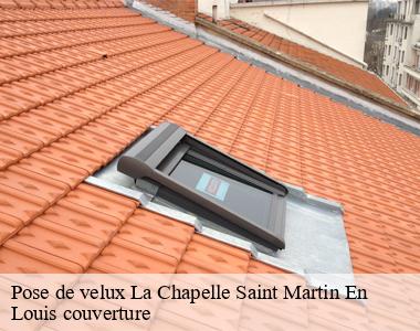 Pose de velux  la-chapelle-saint-martin-en-41500 Louis couverture