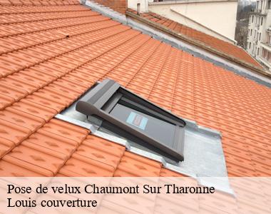 Pose de velux chaumont-sur-tharonne-41600 Louis couverture
