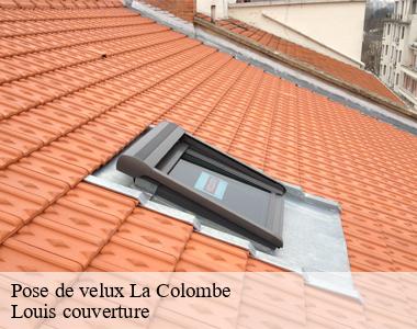 Pose de velux  la-colombe-41160 Louis couverture