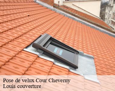 Pose de velux  cour-cheverny-41700 Louis couverture